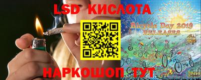 прущие крисы Можга