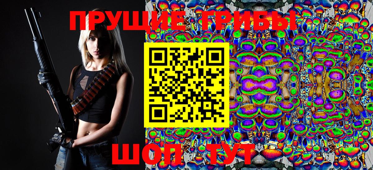 сколько стоит  Галлюциногенные грибы MAGIC MUSHROOMS  Вход с VPN  Псилоцибиновые грибы GOLDEN TEACHER  Тольятти 